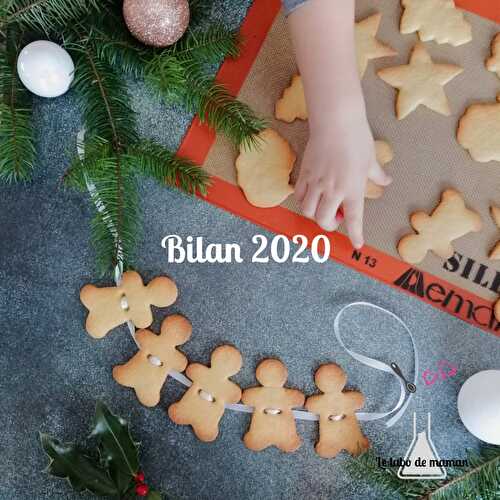 Bilan 2020 et top recettes du blog Le labo de maman