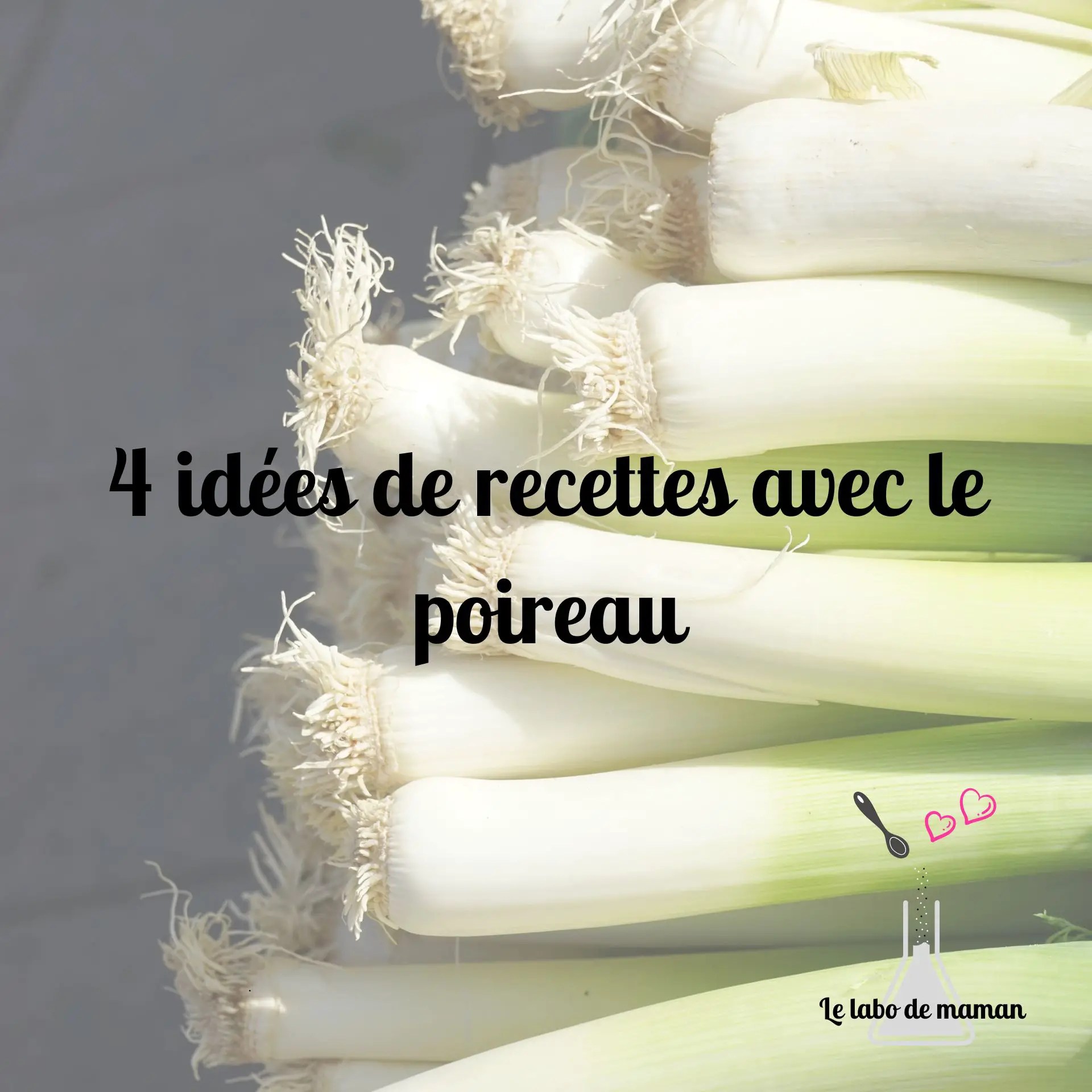 4 recettes pour cuisiner le poireau