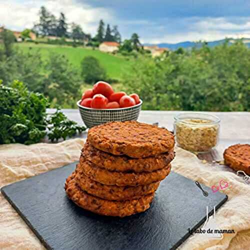 Galettes végétales aubergine et haricots rouges au companion