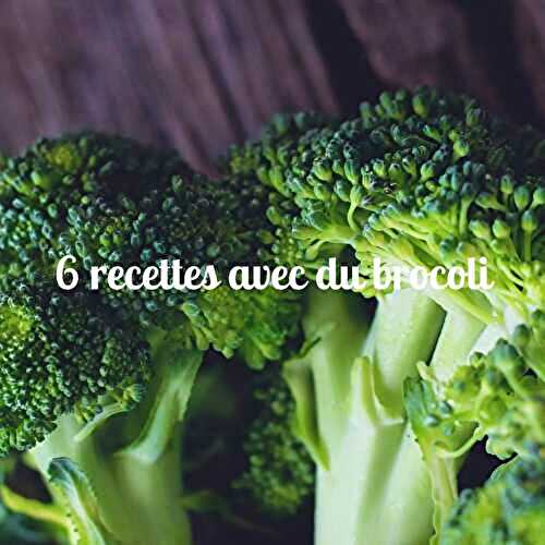 6 idées de recettes pour cuisiner le brocoli