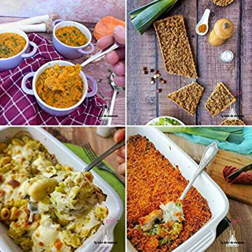 5 recettes délicieuses pour cuisiner les poireaux