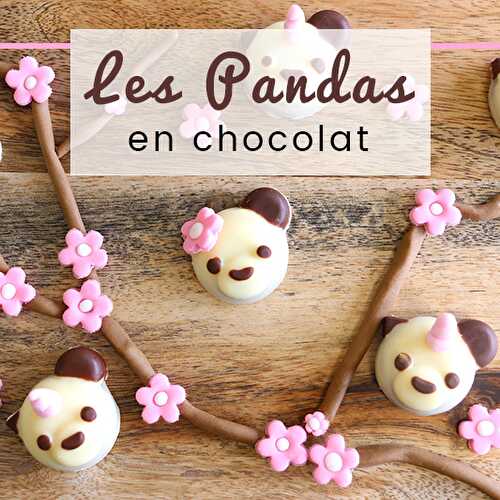 Chocolats au praliné panda