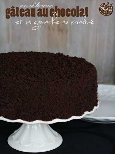 Gâteau au chocolat et sa ganache au praliné