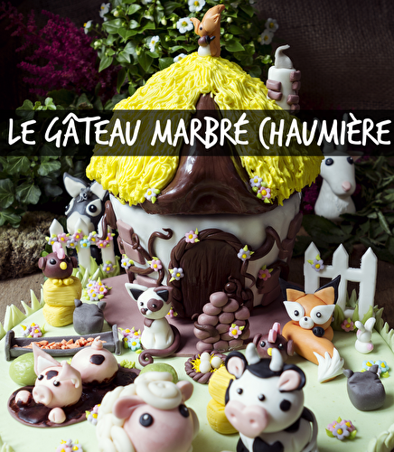 Gâteau Marbré Chaumière, une journée à la cmapagne ! - Féerie Cake
