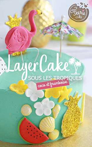 Layer cake coco framboise