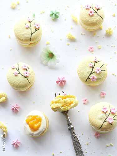 Tout sur les macarons