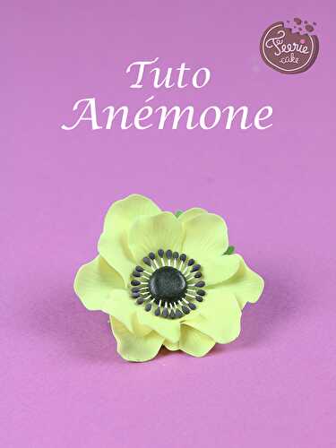 Tuto Anémone (fleur)