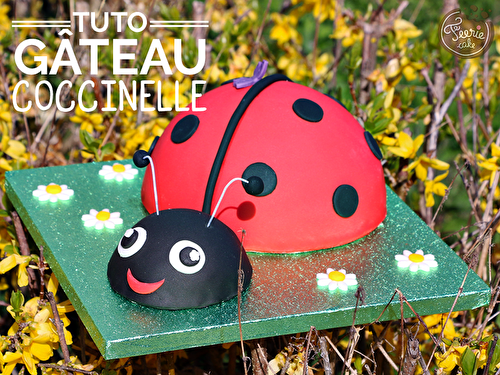 Tutoriel gâteau coccinelle