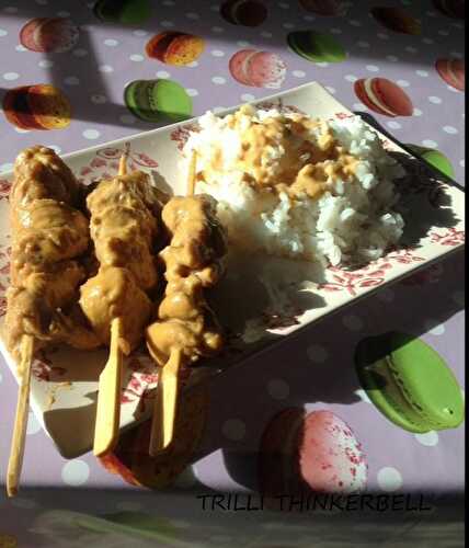 BROCHETTES DE POULET SATAY