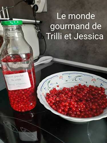 LIQUEUR DE GROSEILLES