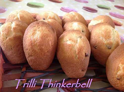 MADELEINES VANILLE ET PEPITES DE CHOCOLAT