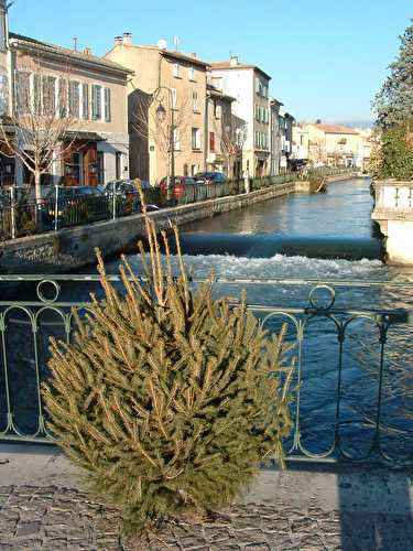 1er Janvier à l'Isle-sur-la-Sorgue