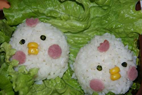 Bento poussins