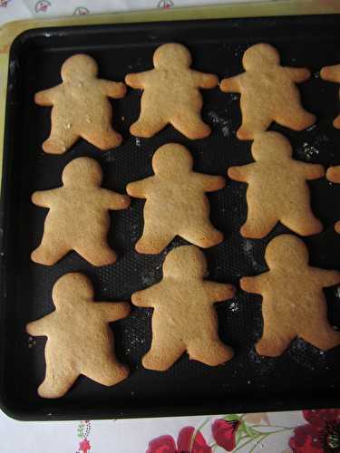 Biscuits aux épices de Noël