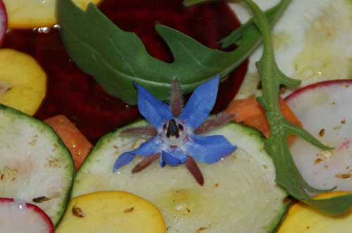 Carpaccio de légumes croquants en vinaigrette épicée