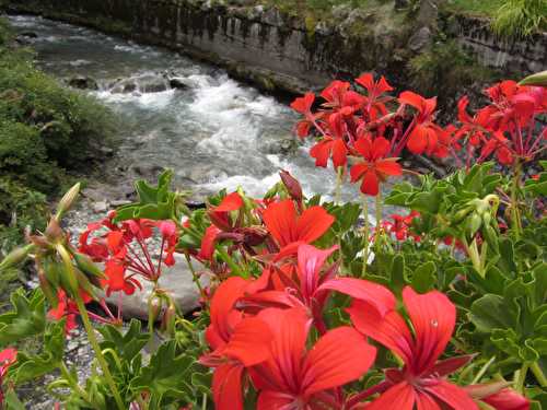 Cascade du Buchardet