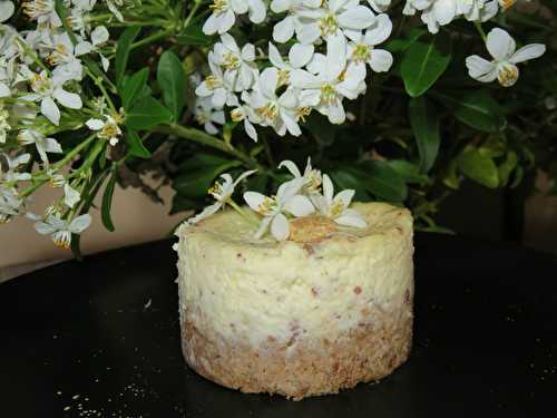 Cheesecake à la fleur d'oranger et amande
