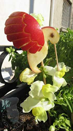 Colibri sur pomme