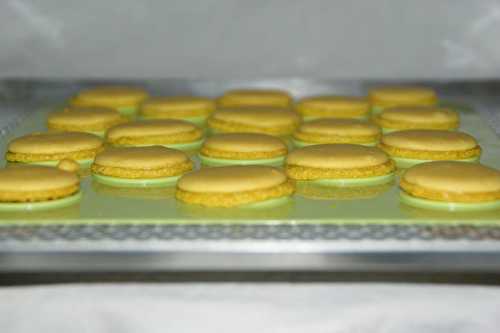Macarons au café