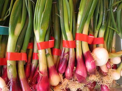 Marché d'Arles au fil des semaines