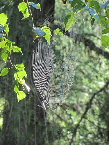 Merveilles du Champsaur