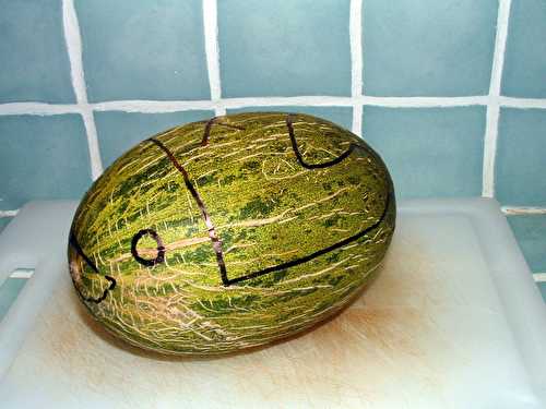 Moby Dick ou l'art de présenter les fruits dans un melon