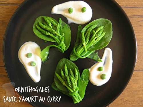 Ornithogales, sauce yaourt au curry