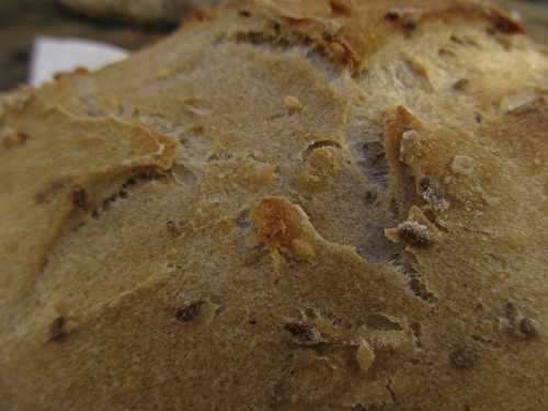 Pain multigrains au levain Kayser