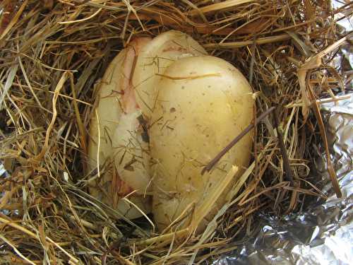 Papillote de pommes de terre au lard fumé et au foin