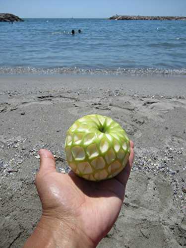 Pomme à la plage #7