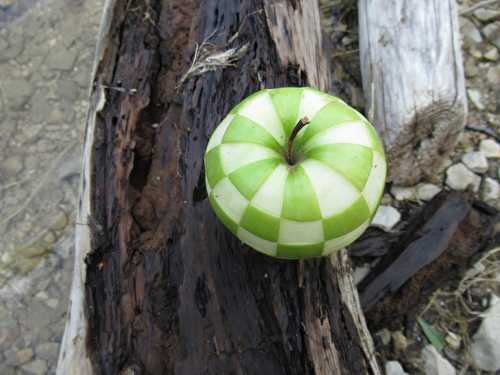 Pomme mosaïque