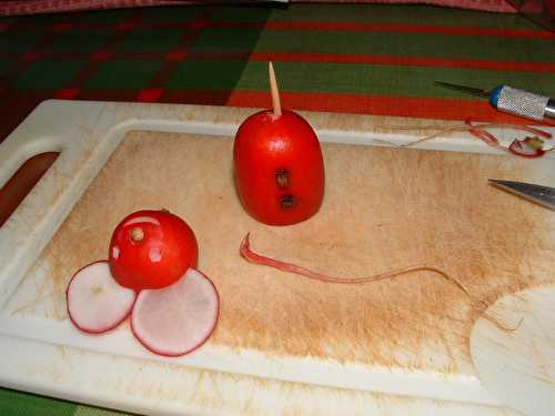 Souris debout en radis