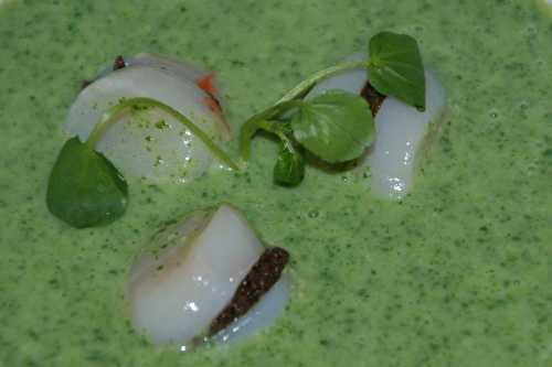 St Jacques à la tapenade, émulsion de vichyssoise au cresson