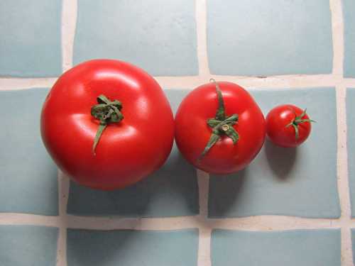 Tomate Mozzarella revisitée