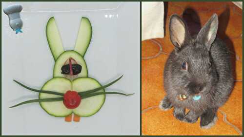 Lapin en courgette