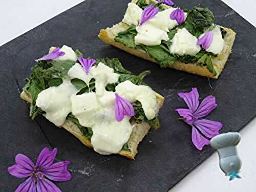 Bruschetta à la mauve