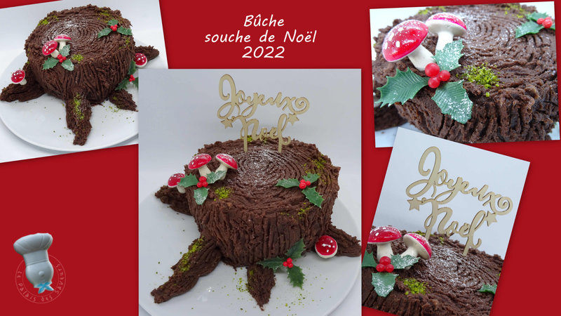 Bûche souche de Noël 2022