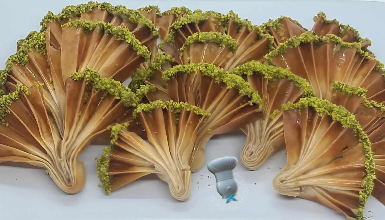 Eventails filo pistache