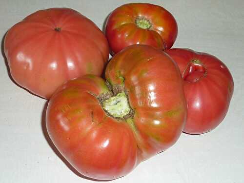 Comment ça elle n'est pas belle ma tomate ???