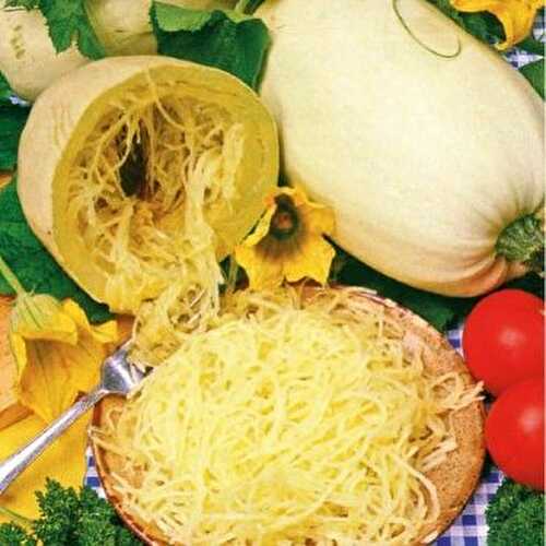 Le secret Oublié pour des Plats de Pâtes Healthy : la Courge Spaghetti 🍝