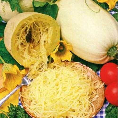 Le secret Oublié pour des Plats de Pâtes Healthy : la Courge Spaghetti 🍝