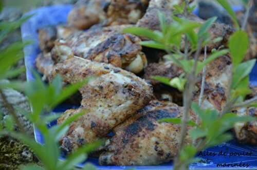 Ailes de poulet marinées à l'indienne