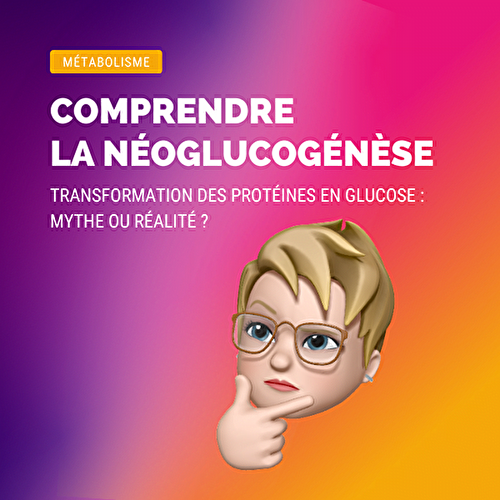 Non, les protéines ne se transforment pas en sucre !