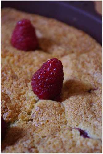 Gâteau aux framboises et à la noix de coco