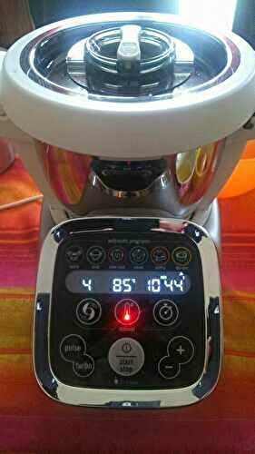 Le COMPANION de MOULINEX