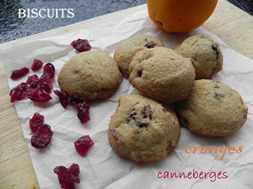 Biscuits à l'orange et aux canneberges, sans gluten, pour jour de pluie