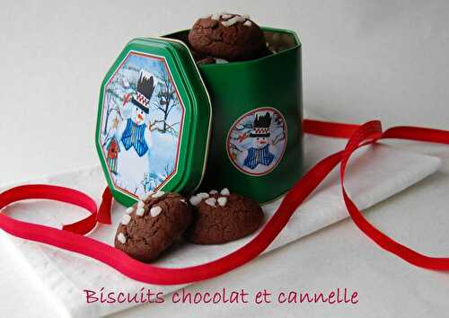 Biscuits chocolat et cannelle, sans gluten, pour offrir en cadeau