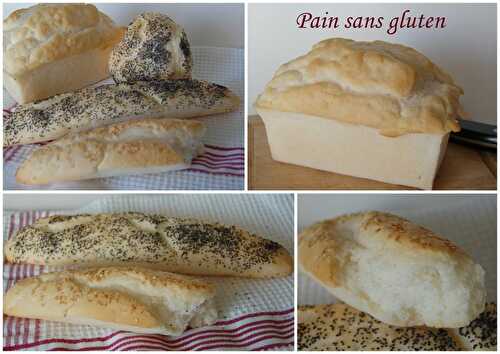 Pains sans gluten - Mélange à cuisson et à pain au riz PaneRiso
