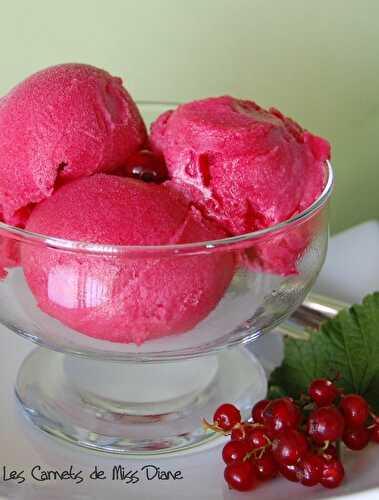 Sorbet aux "gadelles" sur compote de fruits rouges