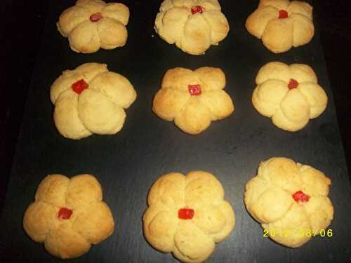 Biscuits pistolets